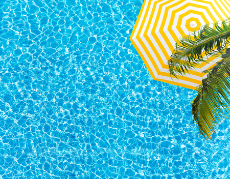 Pool surface umbrella and palm tree from above