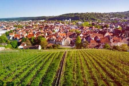 View of Esslingen with vineyards from Dicker Turmの写真素材