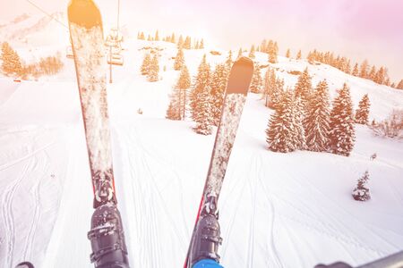Pair of ski over snow covered forest from skiliftの写真素材