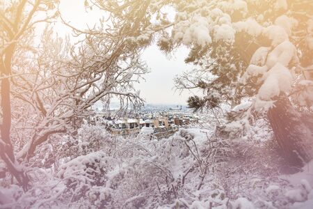 View from Montmartre park on Paris throw snowの写真素材