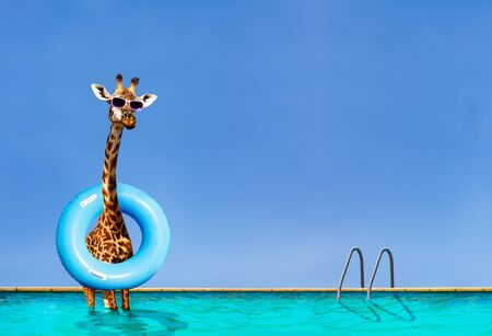 Happy giraffe stand in the pool with inflatable donut ring over blue sky