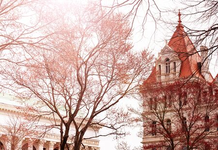 New York State Capitol building towers in Albany, NYの写真素材
