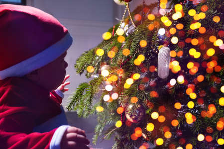 Cute little baby in Santa hat looking in illuminated Christmas treeの写真素材