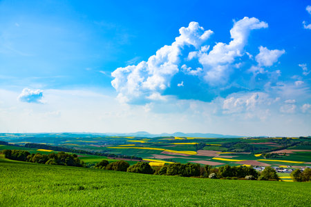 Landscape view of a rural area with meadows and wheat field in Germany