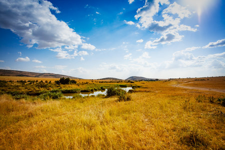 Maasai Mara park river and natural landscape panorama in Kenyaの写真素材