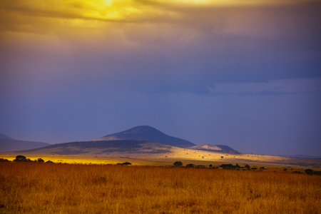 Savana landscape with dramatic sky in Kenyan Savanna, Maasai Mara national parkの写真素材