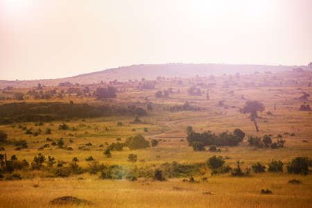 Savana landscape with hills in Kenyan Maasai Mara national park, Africaの写真素材