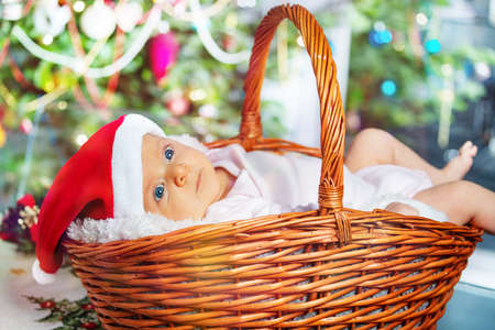 Baby girl lay in basket under Christmas treeの写真素材