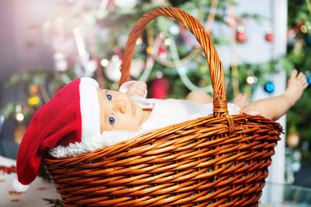 Closeup of baby lay in basket under Christmas treeの写真素材