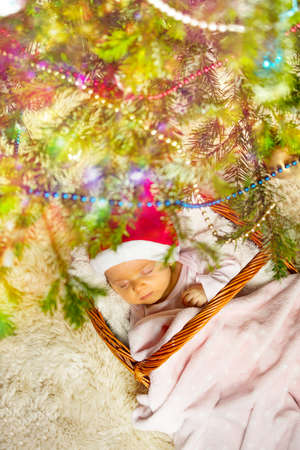 Baby girl sleep in basket under New Year treeの写真素材