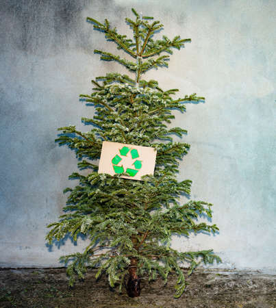 Recycle sign on new year tree after celebrationの写真素材