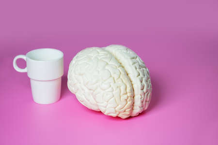 Caffeine effect concept brain and coffee cupの写真素材