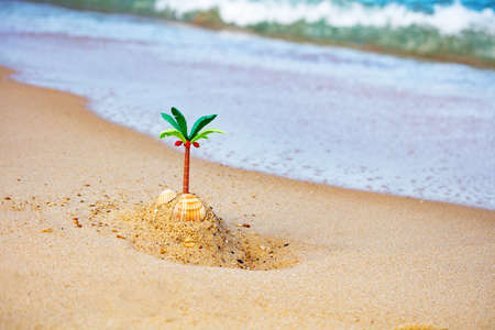 Miniature palm and tiny toy island in the sandの写真素材