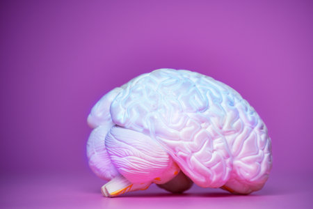 Photo of the glowing brain on purple backの写真素材