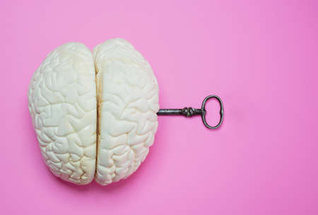 Key to the human in brain opening mind enigmaの写真素材
