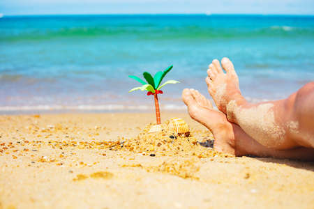 Miniature palm and girls legs in sand close-upの写真素材