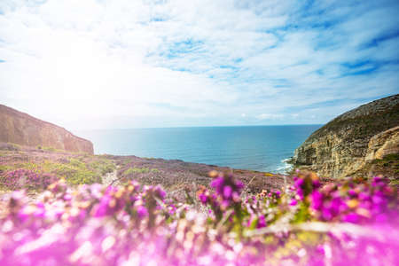 Pen Hir Point meadows and sea view panoramaの写真素材