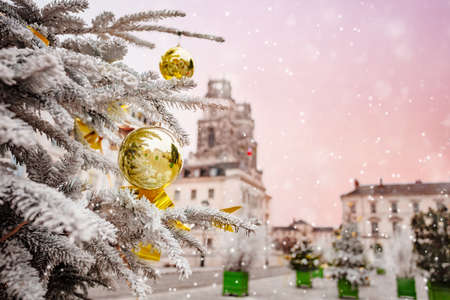 Christmas tree, cathedral Sainte Croix in Orleansの写真素材