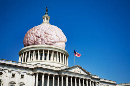 United States capitol is country brain conceptの写真素材