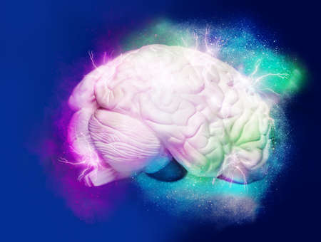 Openminded brain concept image thought color illustratedの写真素材