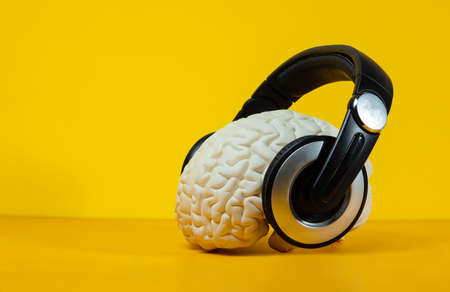 Intelligent listening concept brain in the headphonesの写真素材
