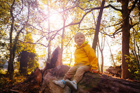 Happy smiling kid in autumn sunset forestの写真素材
