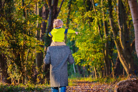 Father walk with his kid on shoulders in forestの写真素材