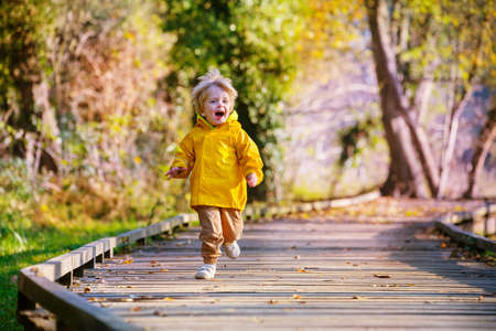 Funny little kid running in autumn sunny parkの写真素材