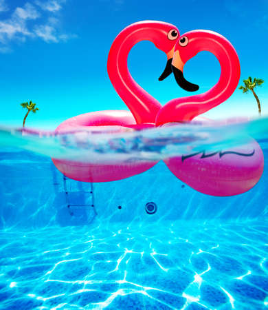 Love concept flamingo rubber buoys kiss in heart shapeの写真素材
