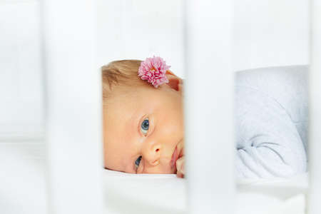 Newborn baby girl with flower lay on belly in the nursery cribの写真素材