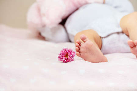 Little newborn baby girl lay in the crib with flowerの写真素材
