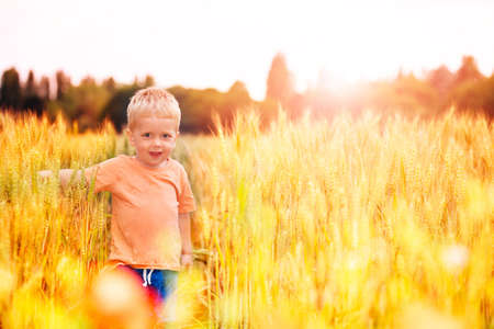 Cute blond toddler walk in the wheat fieldの写真素材