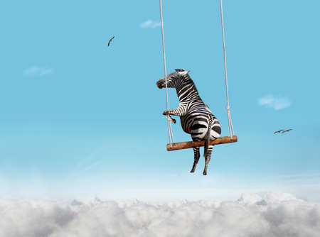 Zebra swinging on swing bar over blue sky with cloudsの写真素材