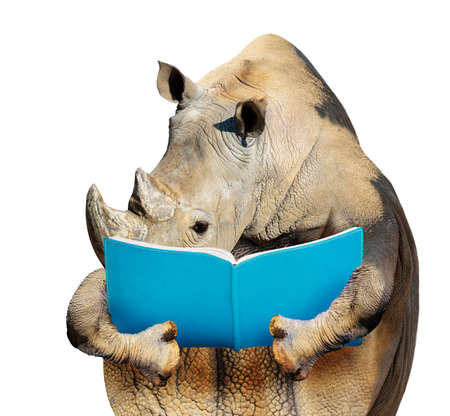 Smart rhino reading a book front view isolated on whiteの写真素材