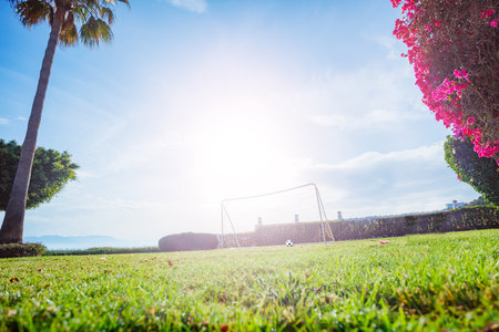 Football field in garden lawn over sky through pink flowersの写真素材