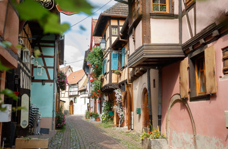 Enchanting European alley with lush greenery Eguisheim Franceの写真素材