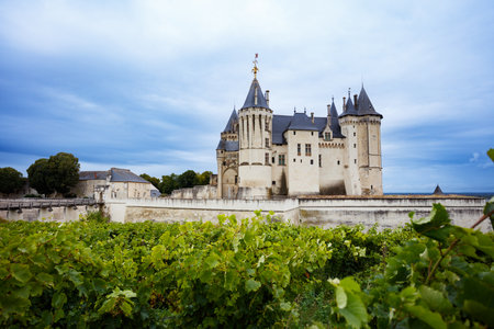 Stone castle Saumur towers over vibrant vineyard and cloudy skyの写真素材