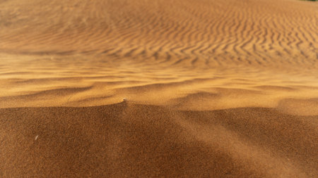 Close-up view of desert sand textureの写真素材