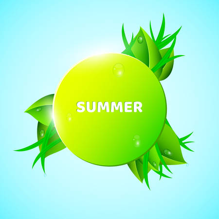 Black banner, sticker in the summer style. Fresh leaves and grass look out in the pattern. Drops of dew flow down the leaves. Ecological banner. Realistic illustration. EPS 10のイラスト素材