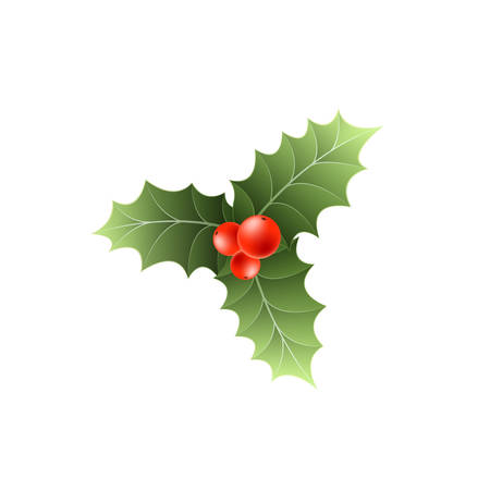 Christmas snow berries isolated on white background. Leaves with fruits.のイラスト素材