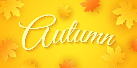 Autumn background. Seasonal banner. Invitation greeting card. Calligraphy and lettering. Orange maple leaves. Drop leaves. Festive cover. Vector illustration. EPS 10のイラスト素材