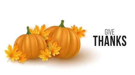 Autumn background with Realistic 3d pumpkins and maple leaves isolated on white background. Cover for Thanksgiving or Halloween. Fresh vegetables. Vector illustration. EPS 10のイラスト素材