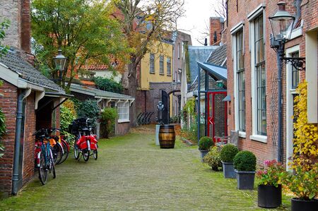 Autumn decoration of a street in Haarlem-Netherlands 2008のeditorial素材