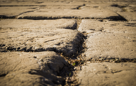 Close up ancient road detail of ancient city of Xanthos - Letoon  (Xantos, Xhantos, Xanths) in Kas, Antalya/Turkey. Capital of Lycia.の写真素材