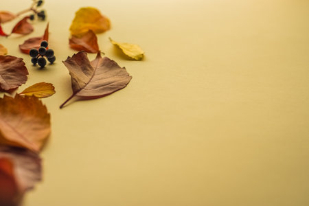 Autumn composition. Frame made of autumn dried leaves on white background. Copy space for text....