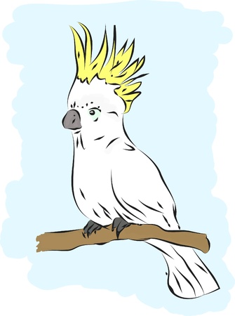 A parrot on the whiteのイラスト素材