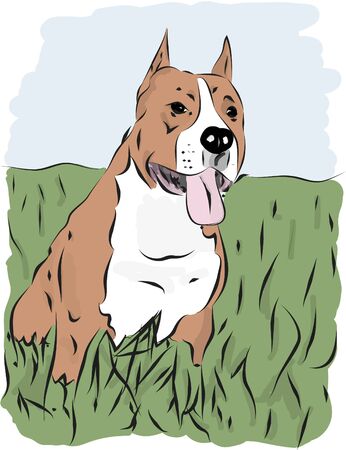 staffordのイラスト素材