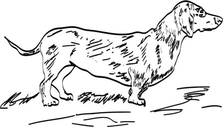 dogのイラスト素材