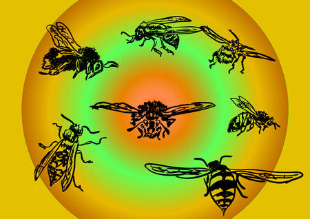 insectsのイラスト素材