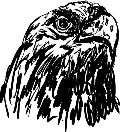 eagleのイラスト素材